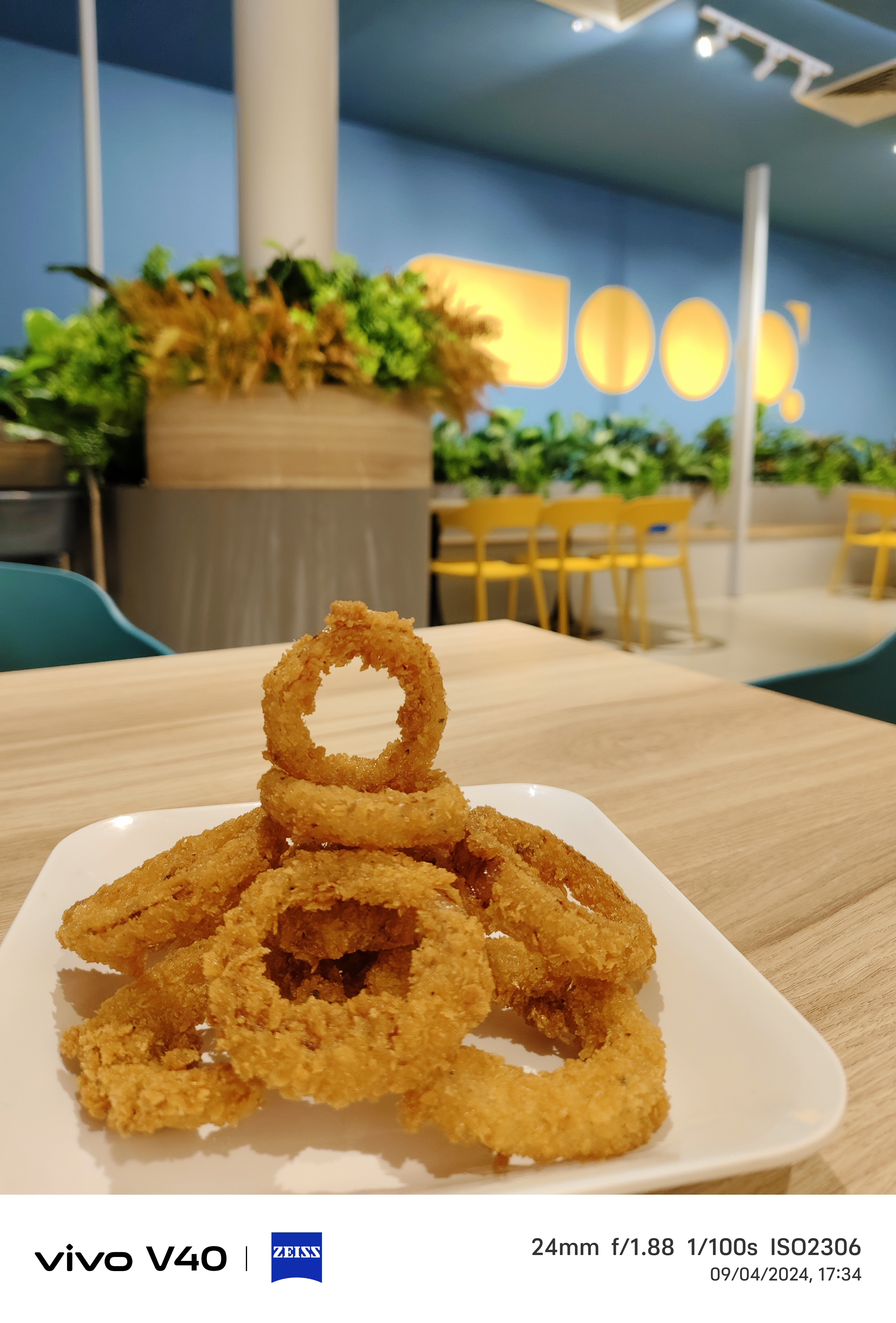 Onion Rings 